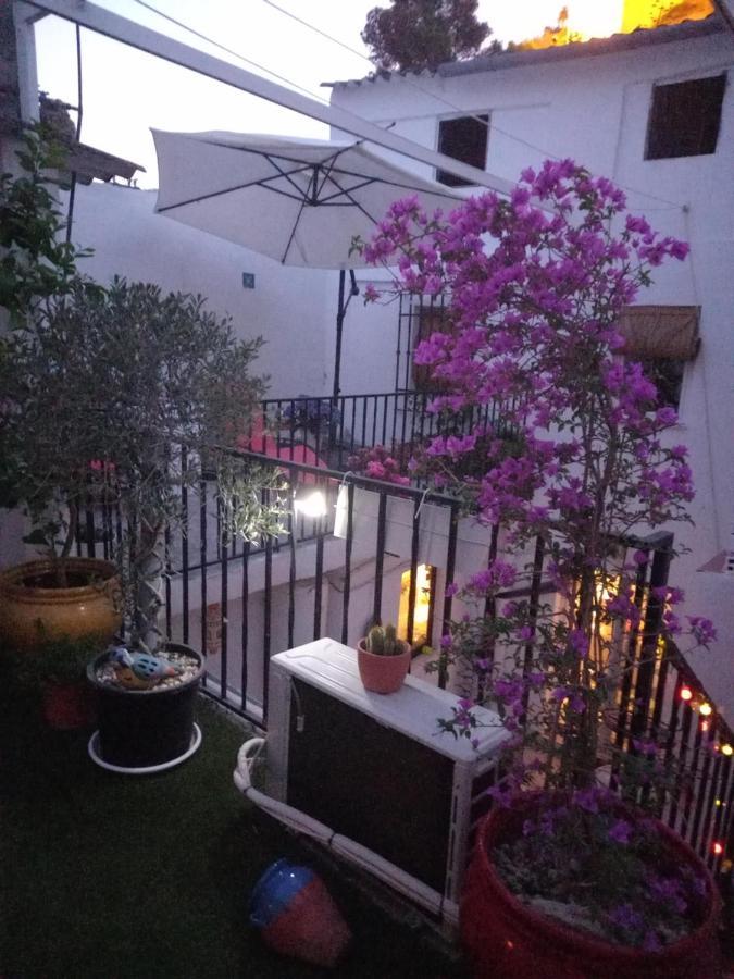 Guesthouse Jazmines Mozarabes # Wifi باينا المظهر الخارجي الصورة